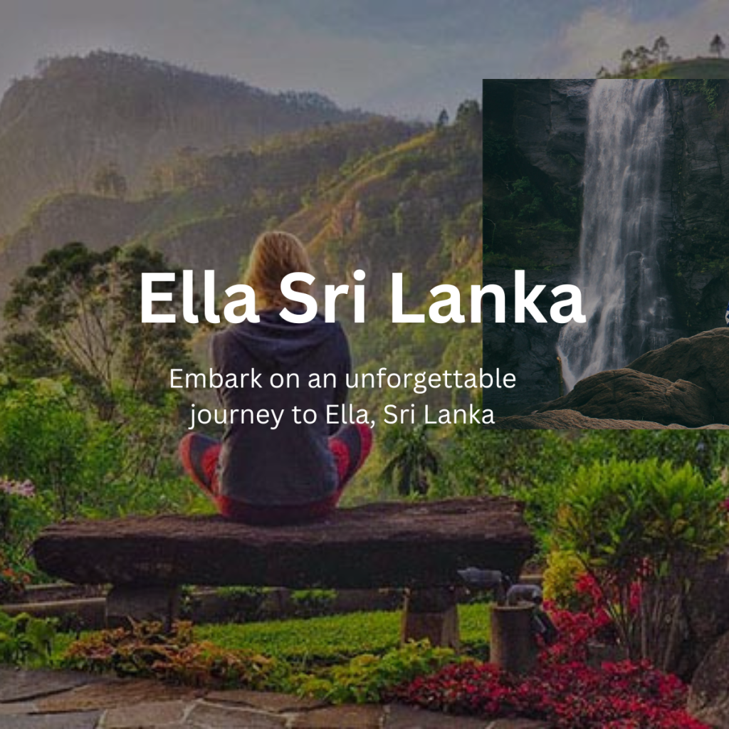 Tour Operators in Sri Lanka