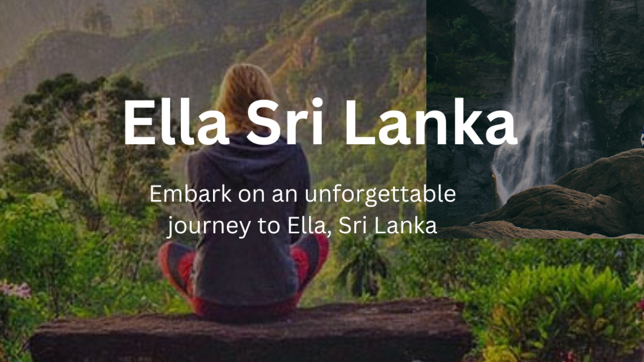 Tour Operators in Sri Lanka