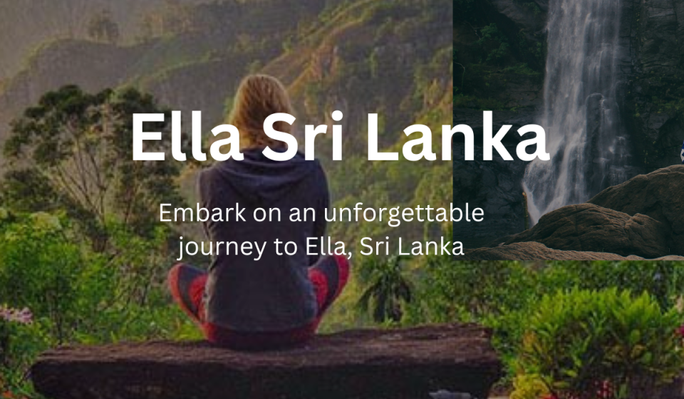 Tour Operators in Sri Lanka