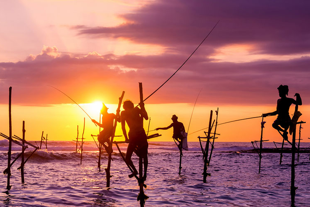 Stilt Fishermen